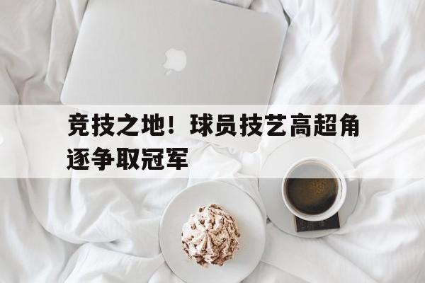 职业球员成就 职业球员成就